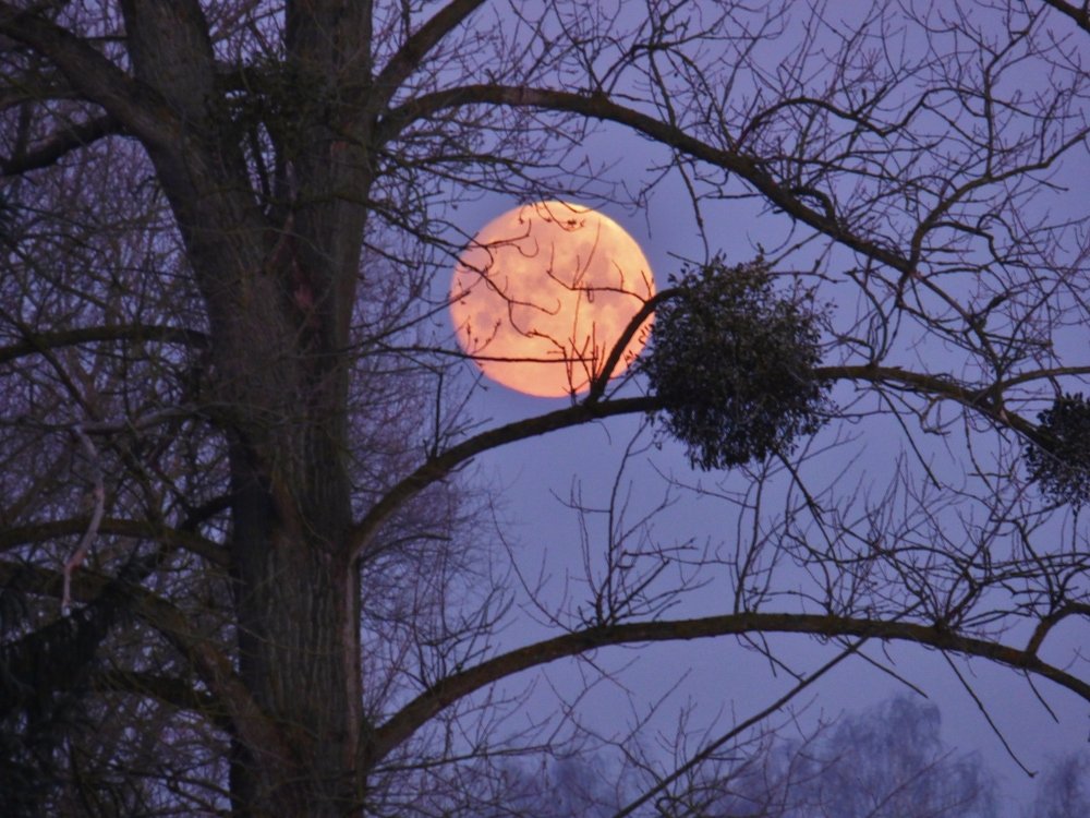 Фотография автора Daniel