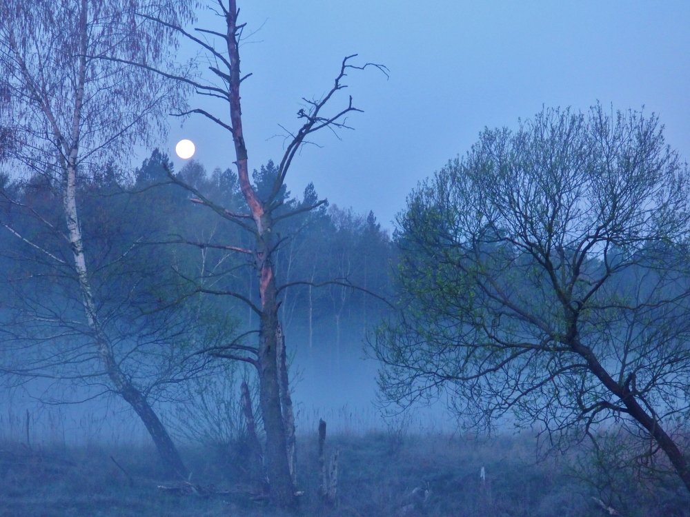 Фотография автора Daniel