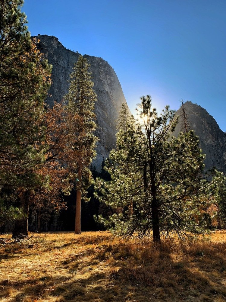 Photograph by Ruslan Pastushak