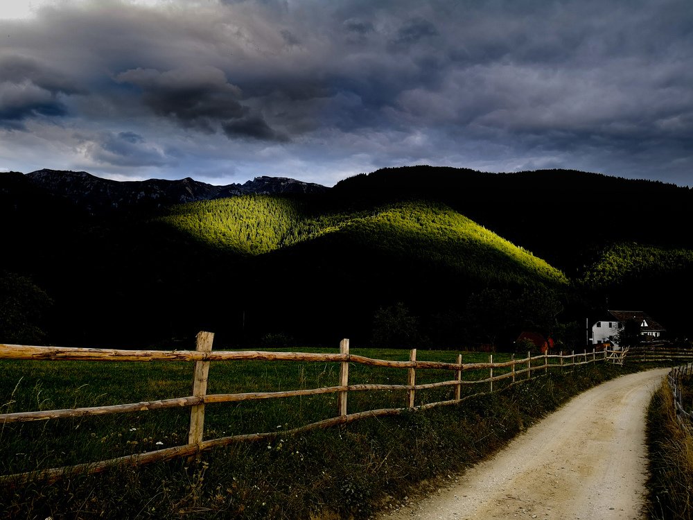 Photograph by Daria Virbanescu