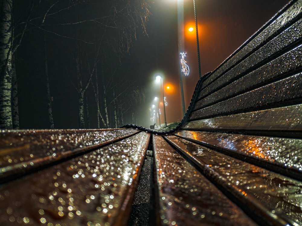 Photo #3835657
