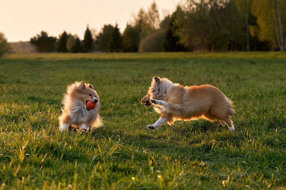 Photograph by Ольга Еремеева