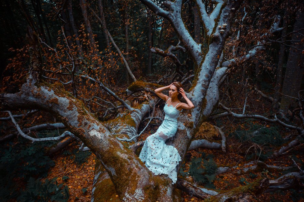 Photograph by Vakho Tsatsalashvili