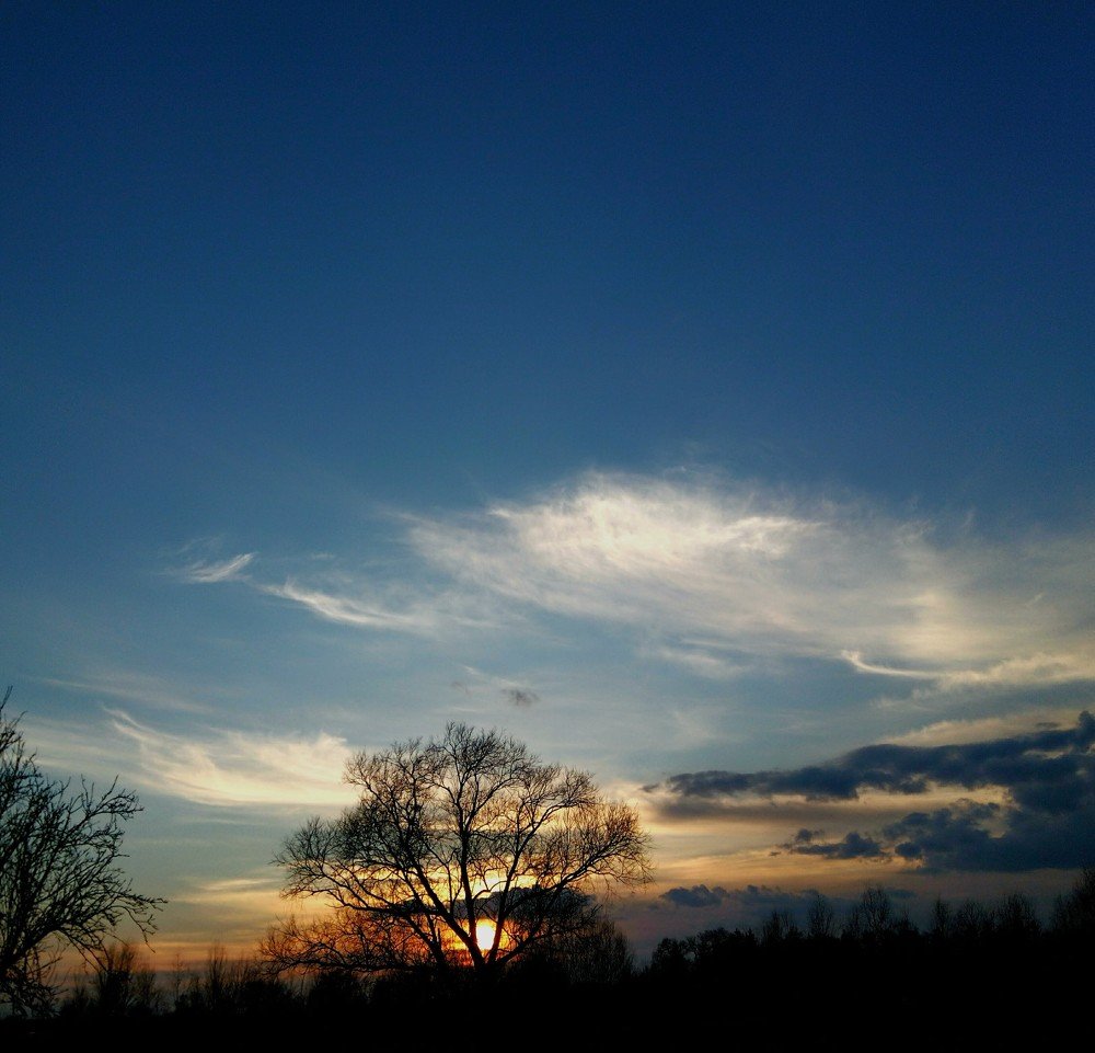 Photograph by Наталия Бровкина