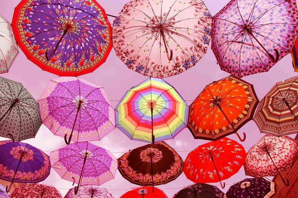 Photograph by shabnammoghadam