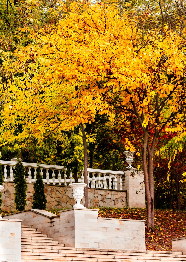 Photograph by Anna Doncila