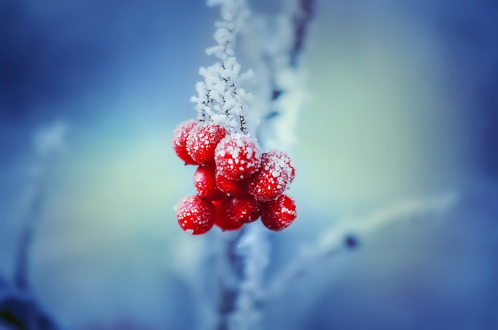 Photograph by Наталья Золотарева