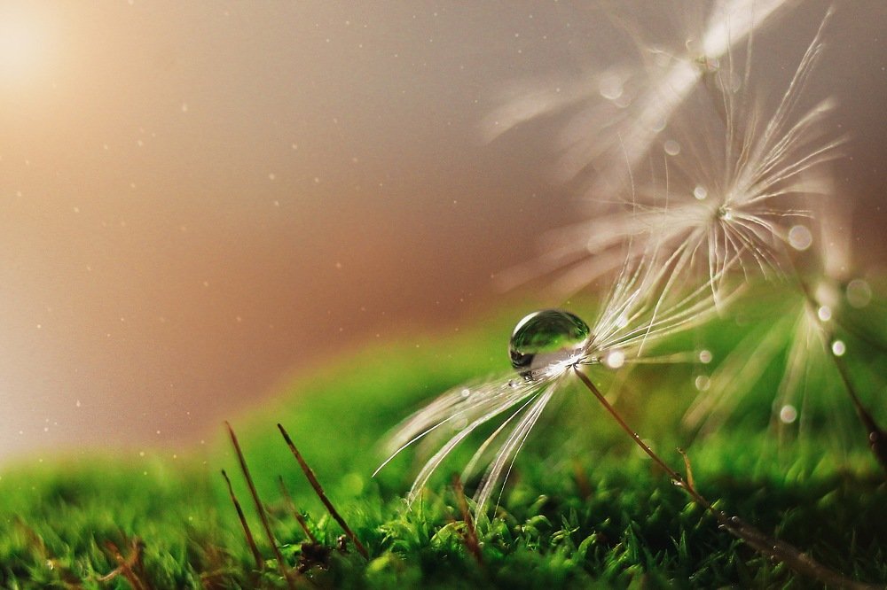 Photograph by Мадина Огорелкова