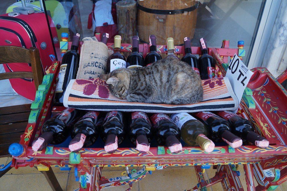 Photograph by Александр Киселев