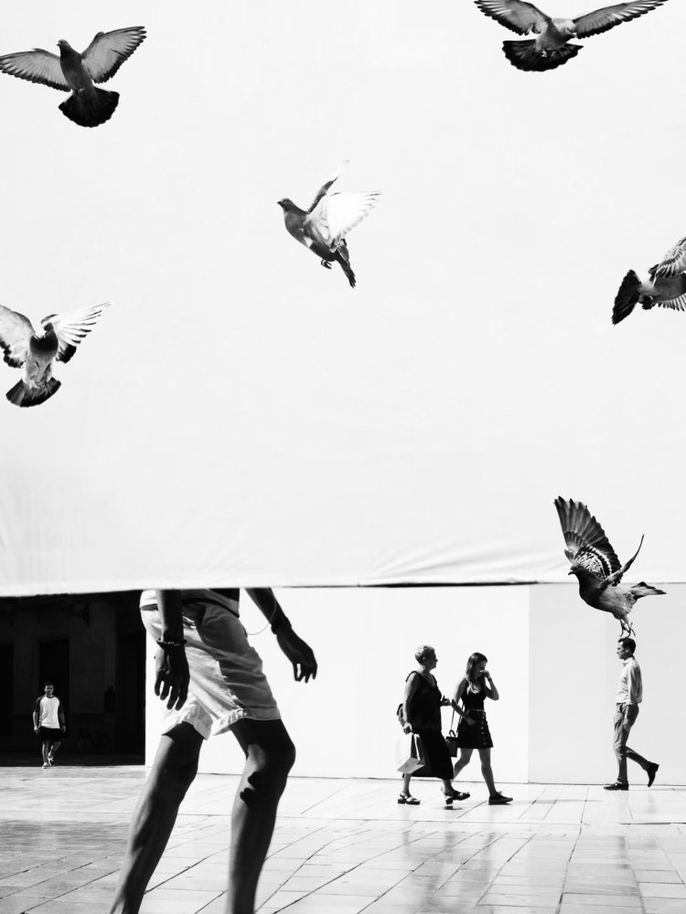 Птицы как люди