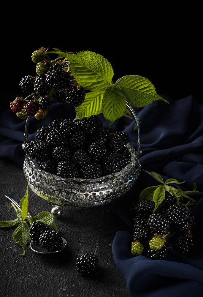 Мои ежевичные ночи