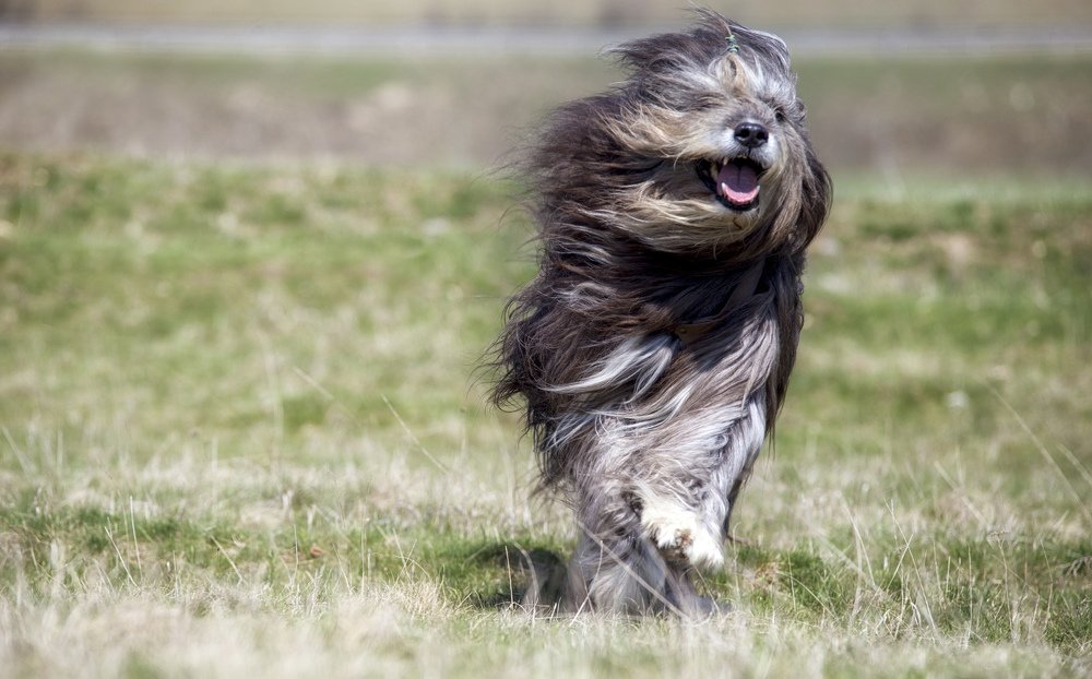 Photograph by Gyorgyi Balogh