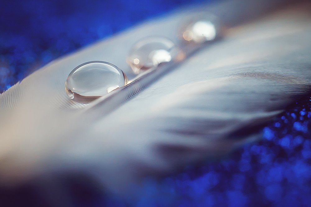 Photograph by Юлиана Джус