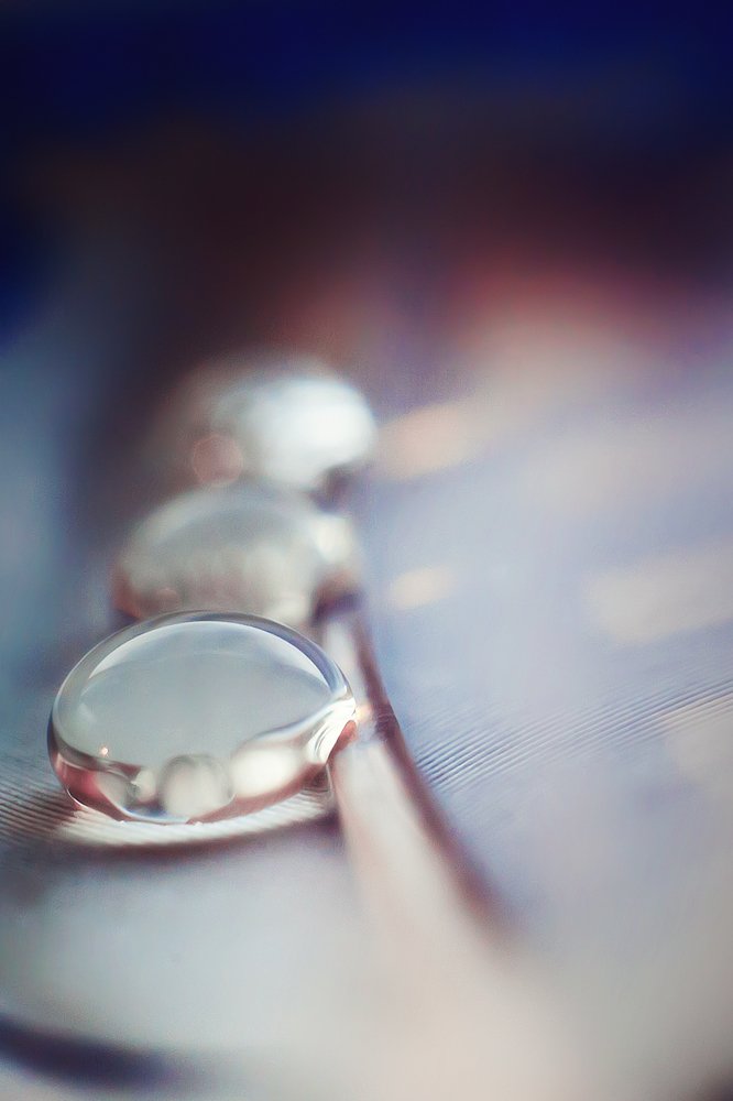 Photograph by Юлиана Джус