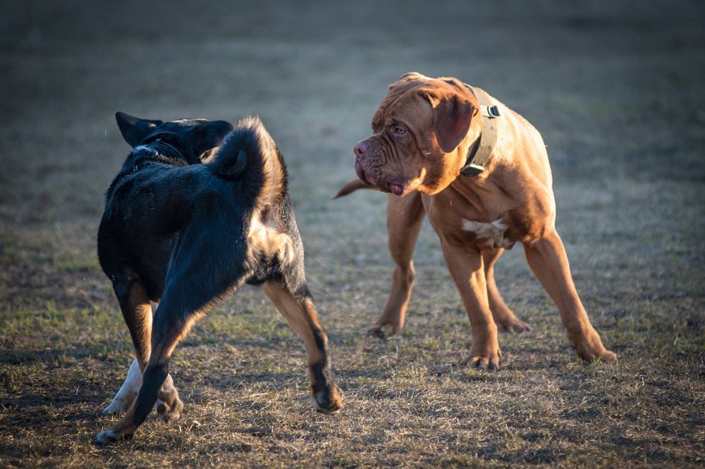 Photograph by Евгений Алексеев