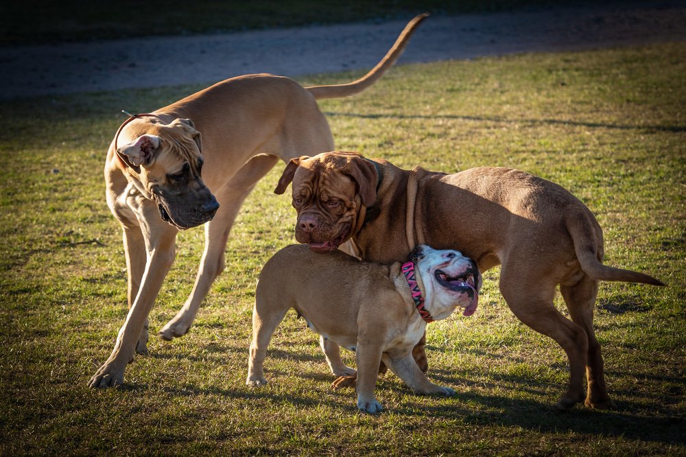 Photograph by Евгений Алексеев