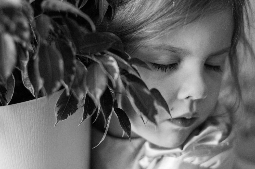 Photograph by Валяева Анастасия