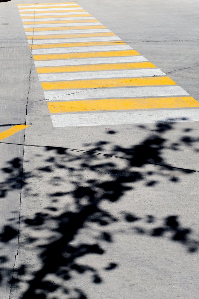 Photograph by Rusudan Khubutiya