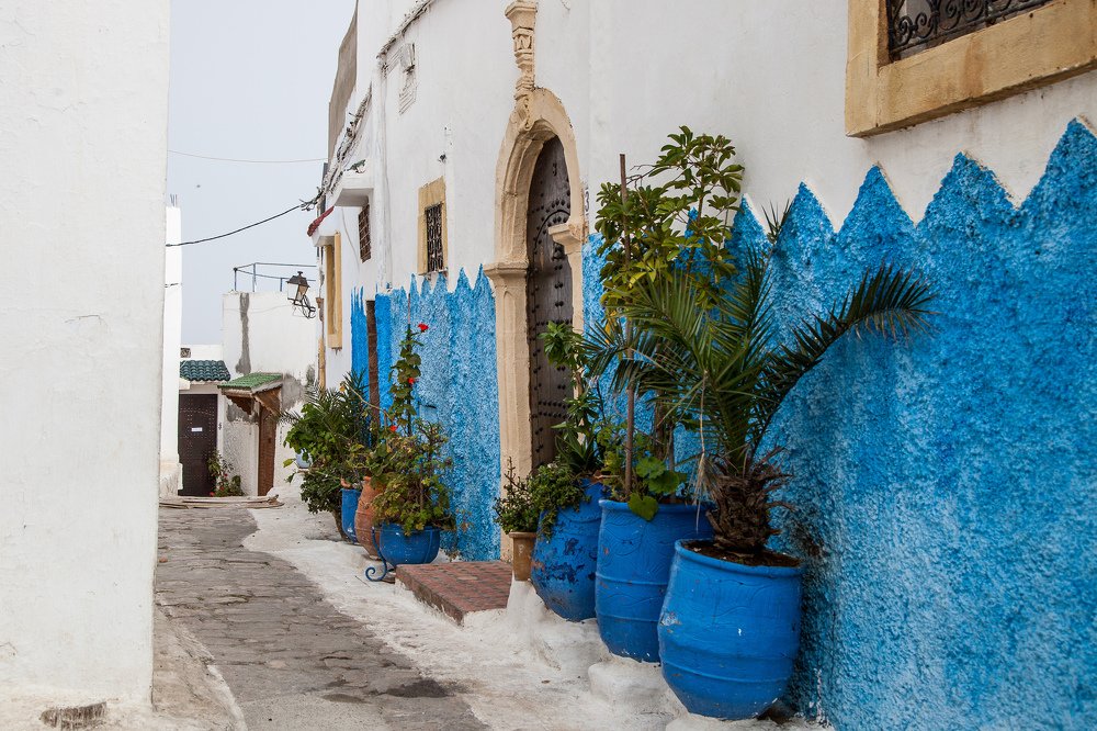 Photograph by Алёна Останкова