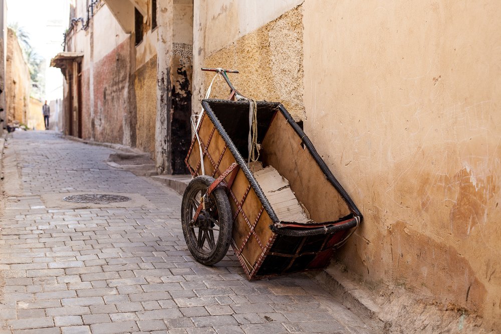 Photograph by Алёна Останкова