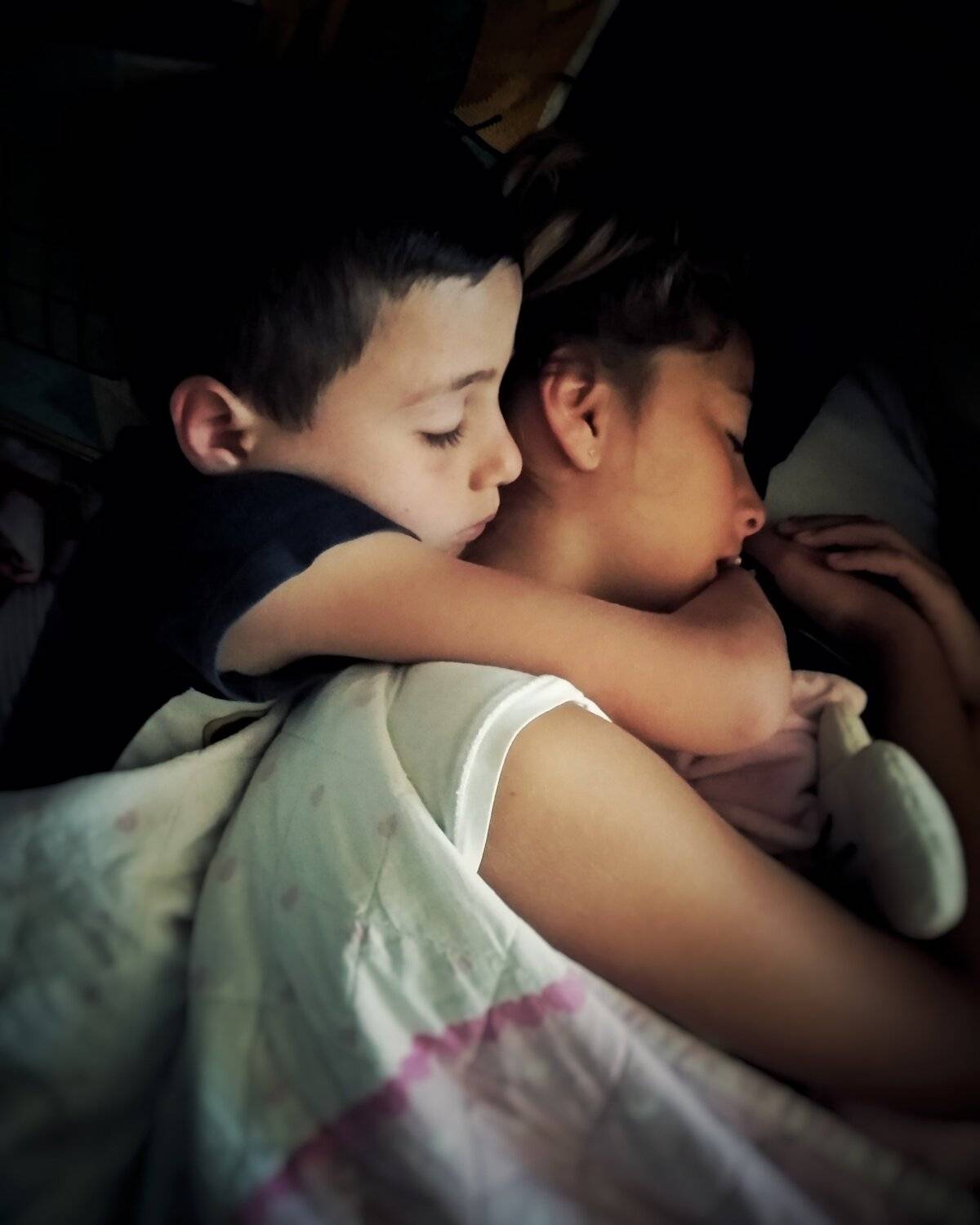 Photo #3836718