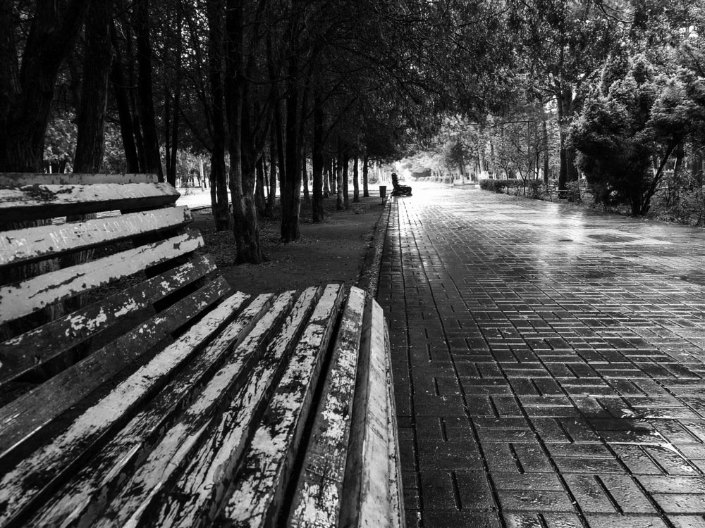 В городе дождь