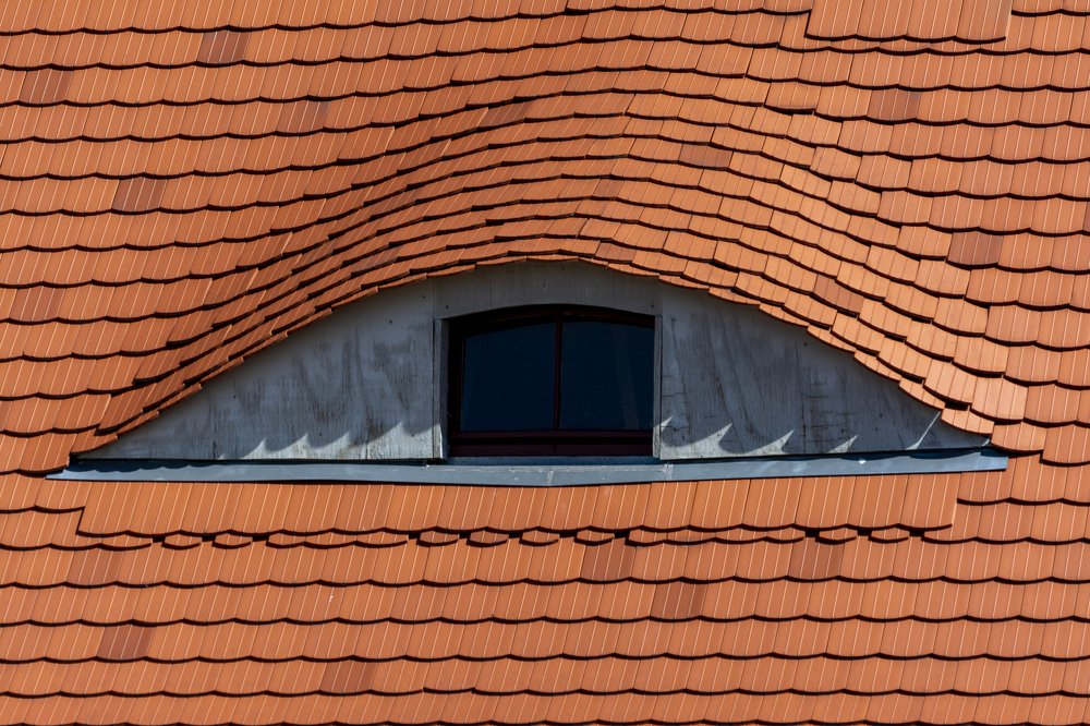 Photograph by Ирина Вершинина