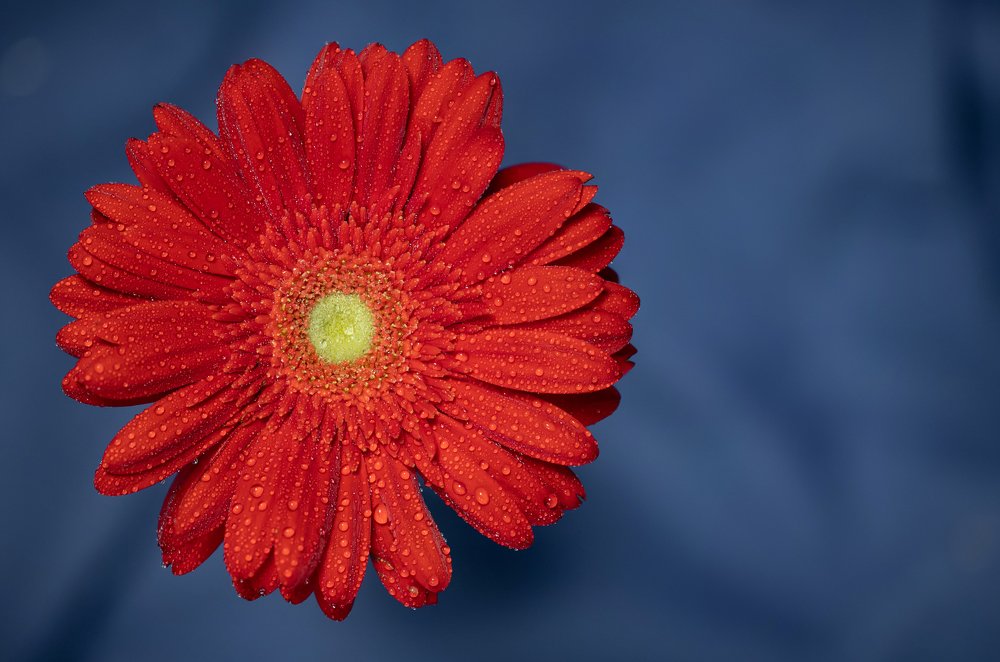 Photograph by Сергей Романченко