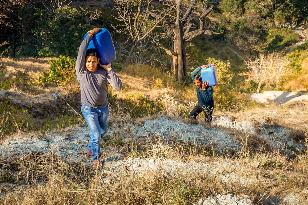 Фотография автора savitri Rawat