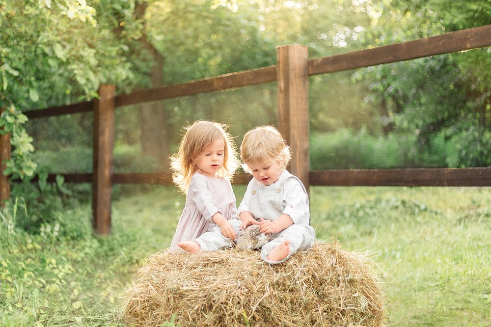 Photograph by Алена Зотова