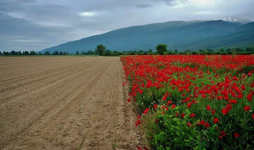 Photograph by Roula Silintzi