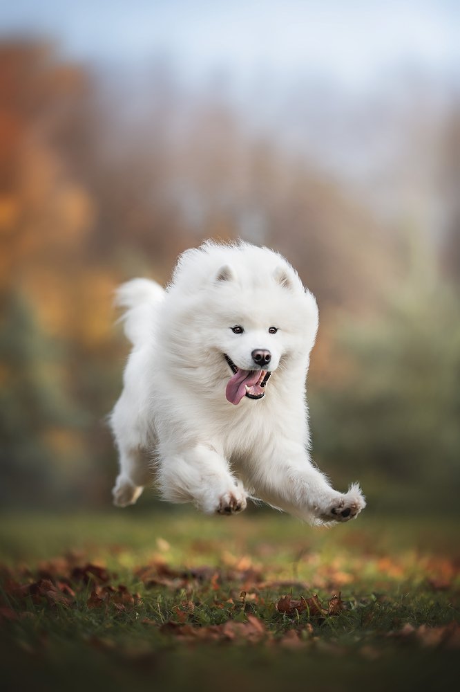 Photograph by Людмила Богуш