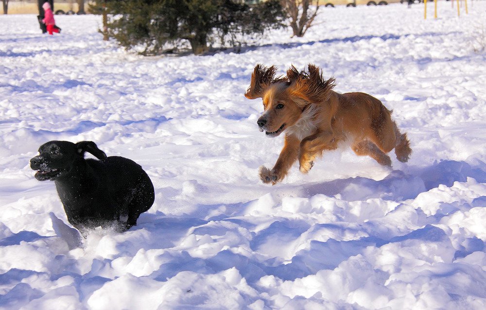 Photograph by Михаил Баевский