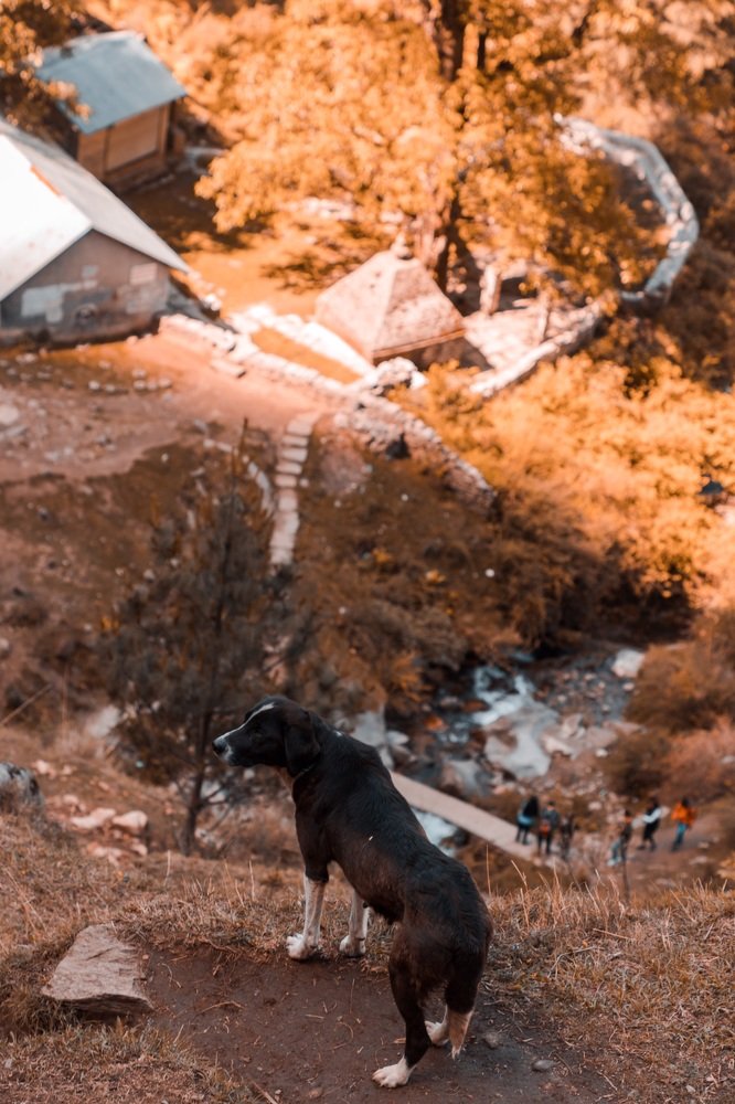 Photograph by Shourya Dadhich