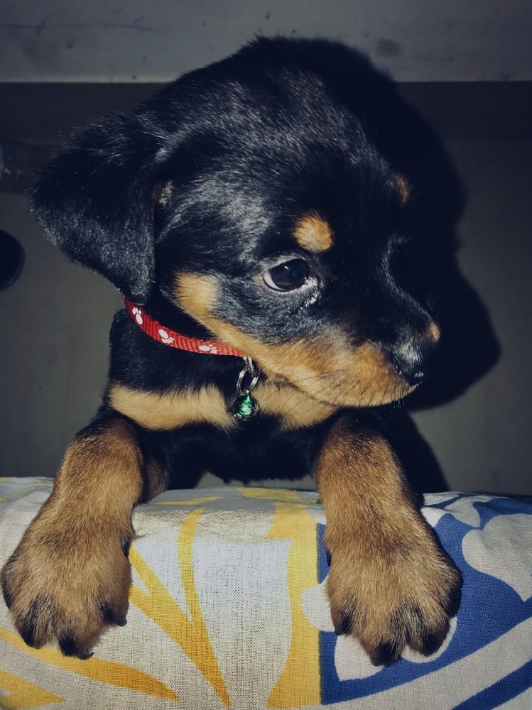 Photograph by Shourya Dadhich