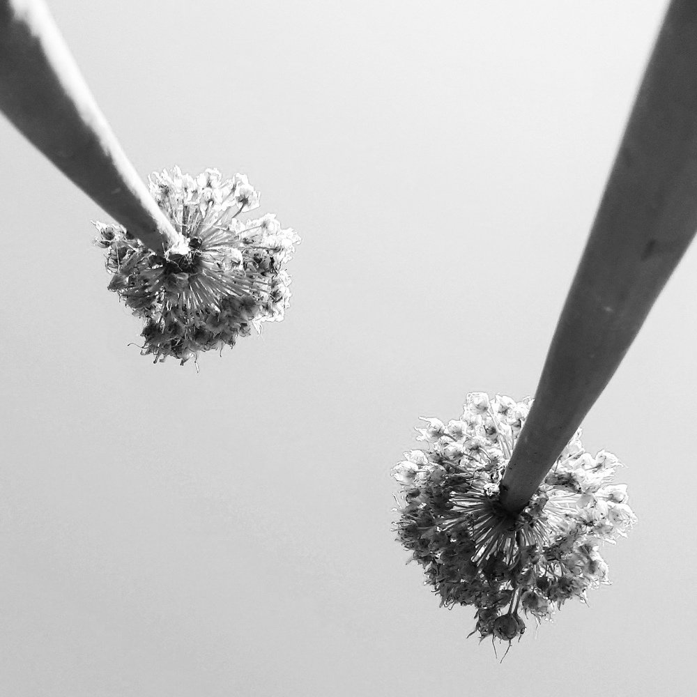 Photograph by Юлия Чигинцева