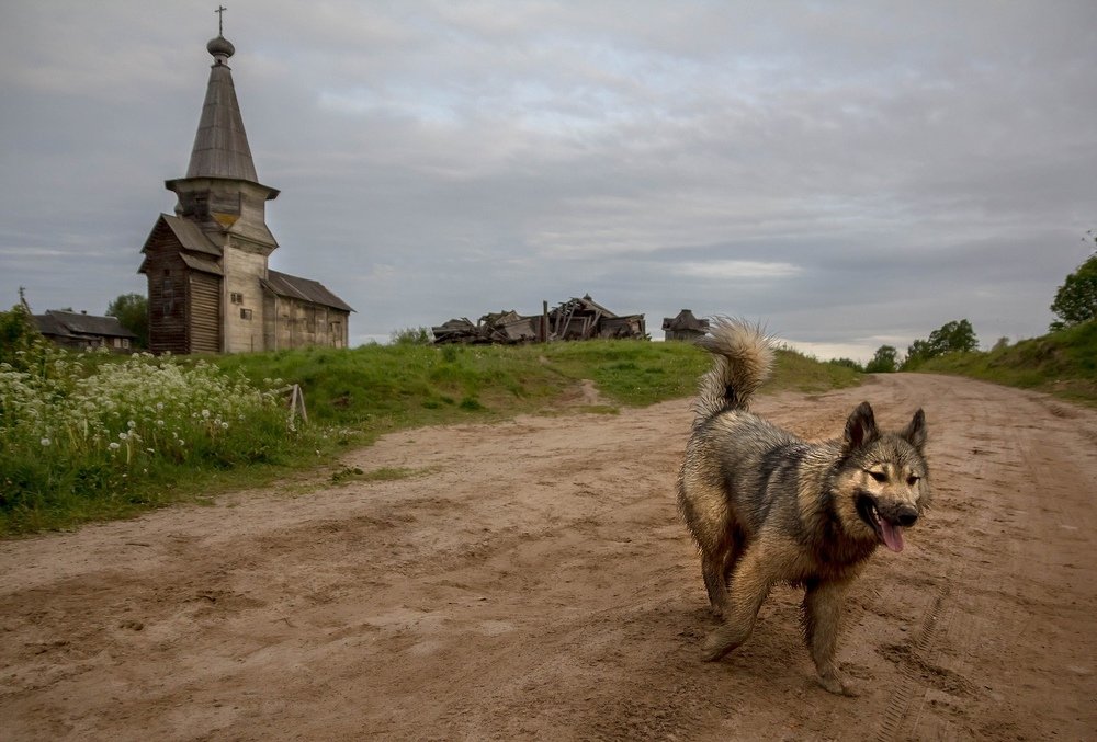 Photograph by Pavel Vaschenkov