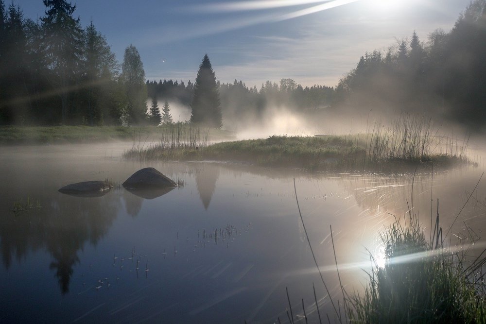 Photograph by Pavel Vaschenkov