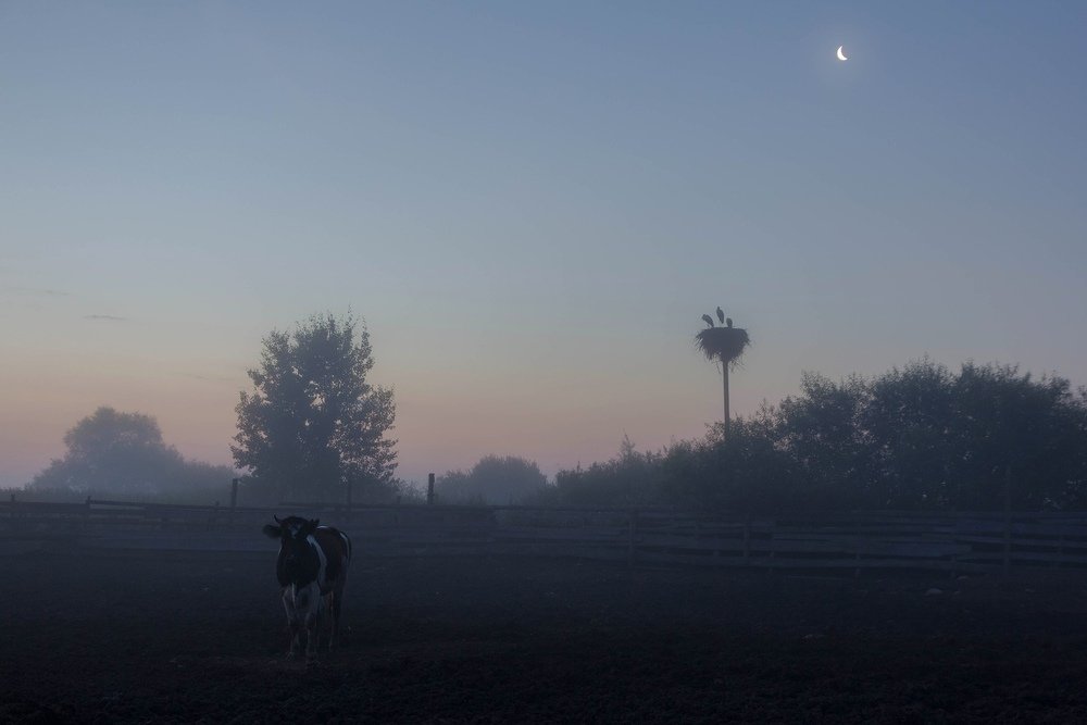 Photograph by Pavel Vaschenkov