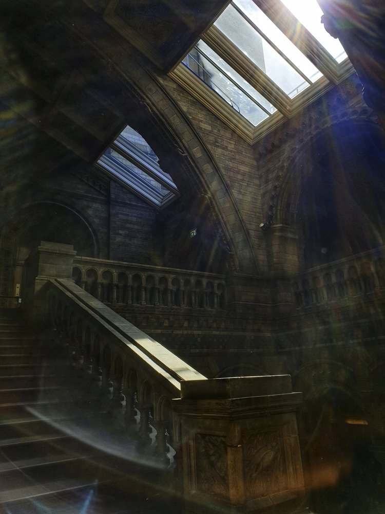 Photograph by Юлия Борт