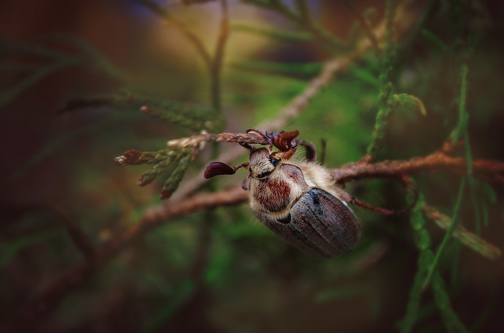 Photograph by Наталья Золотарева