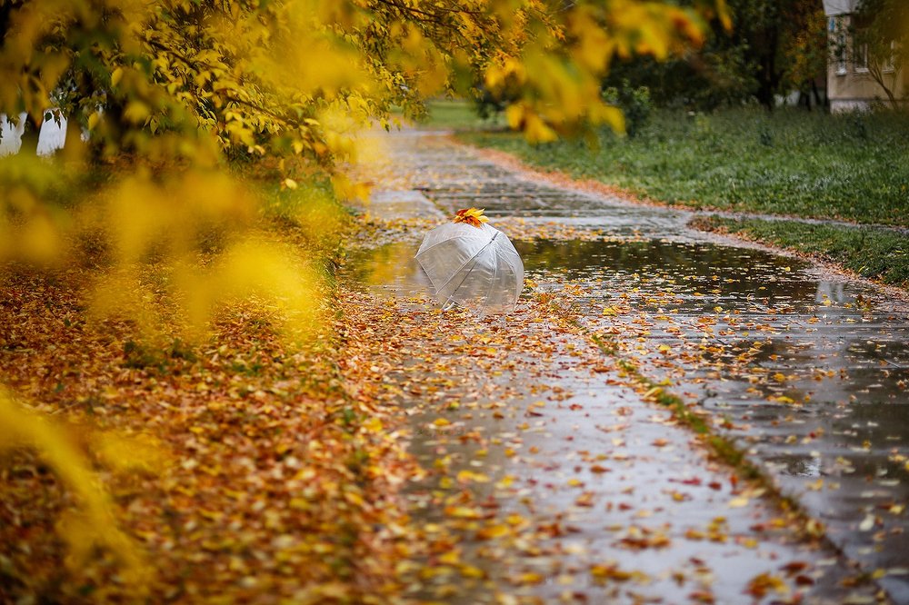 Photograph by Полина Сергеевна