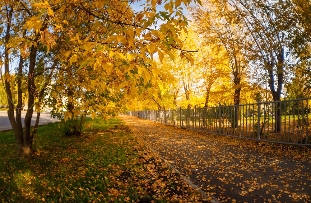 Photograph by Полина Сергеевна