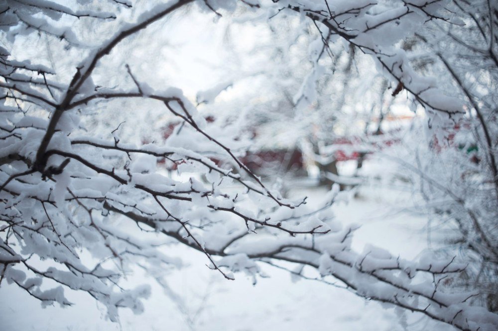 Фотография автора Ксения Лепина