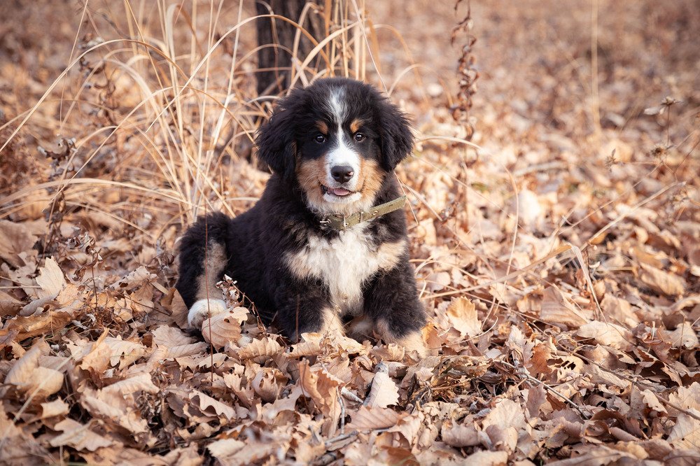 Photograph by Маргарита Федурина