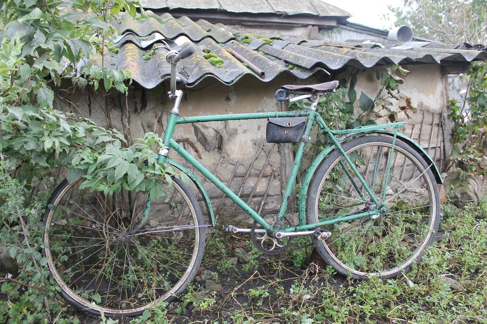 Photograph by Ирина Емелина