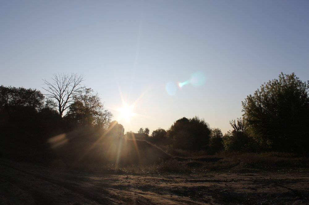 Photograph by Ирина Емелина