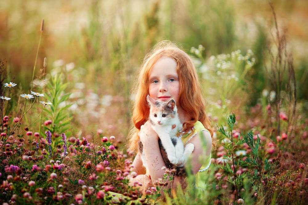 Вечер с другом