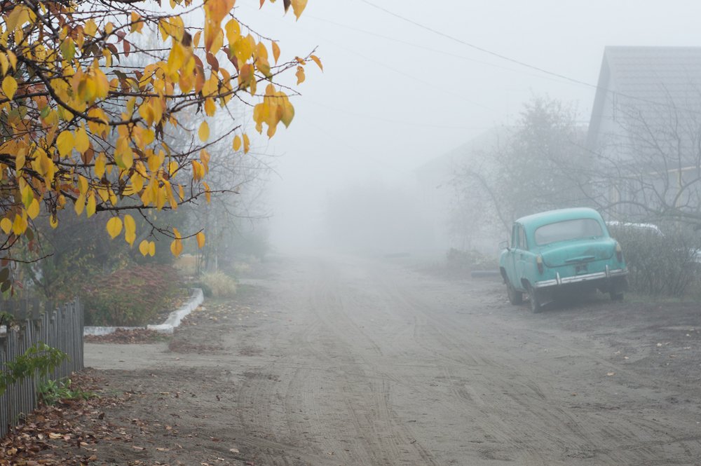 Photograph by Светлана Гок