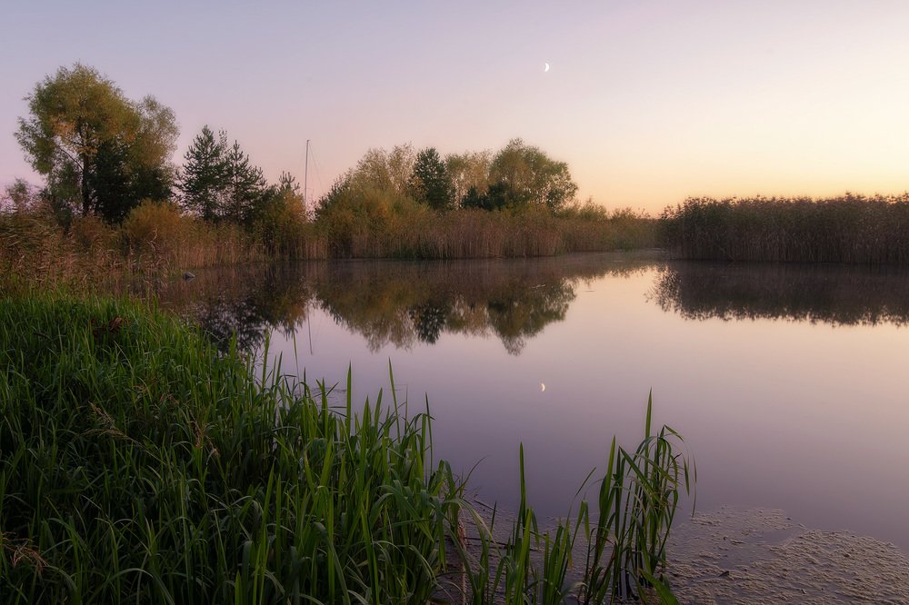Фотография автора Федотов Антон
